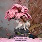 Okamiden: Chibiterasu Standard Edition F4F Statue