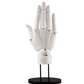 Artist Support Item Hand Model/R -White-