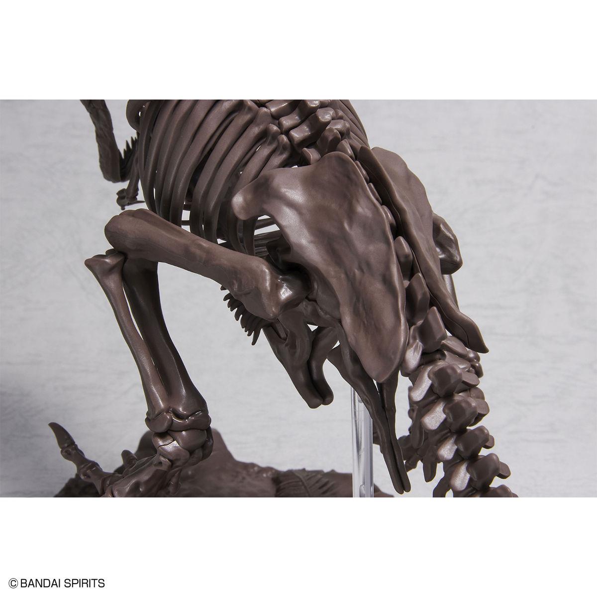 Imaginary Skeleton: Tyrannosaurus 1/32 Scale Model