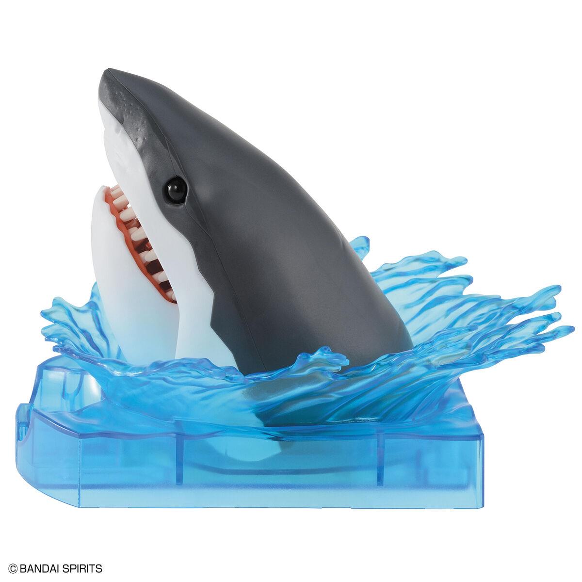 Exploring Lab Nature: Great White Shark Model Kit