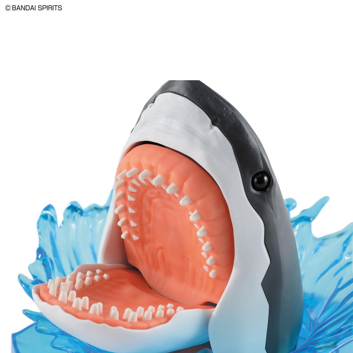 Exploring Lab Nature: Great White Shark Model Kit