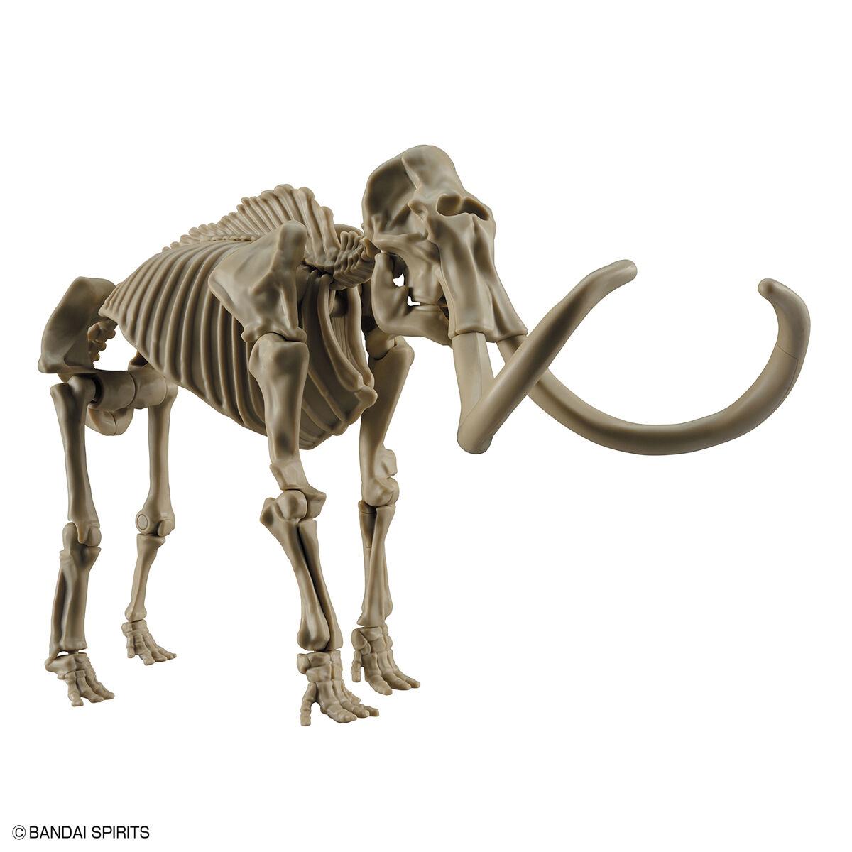 Exploring Lab Nature: Mammoth Model