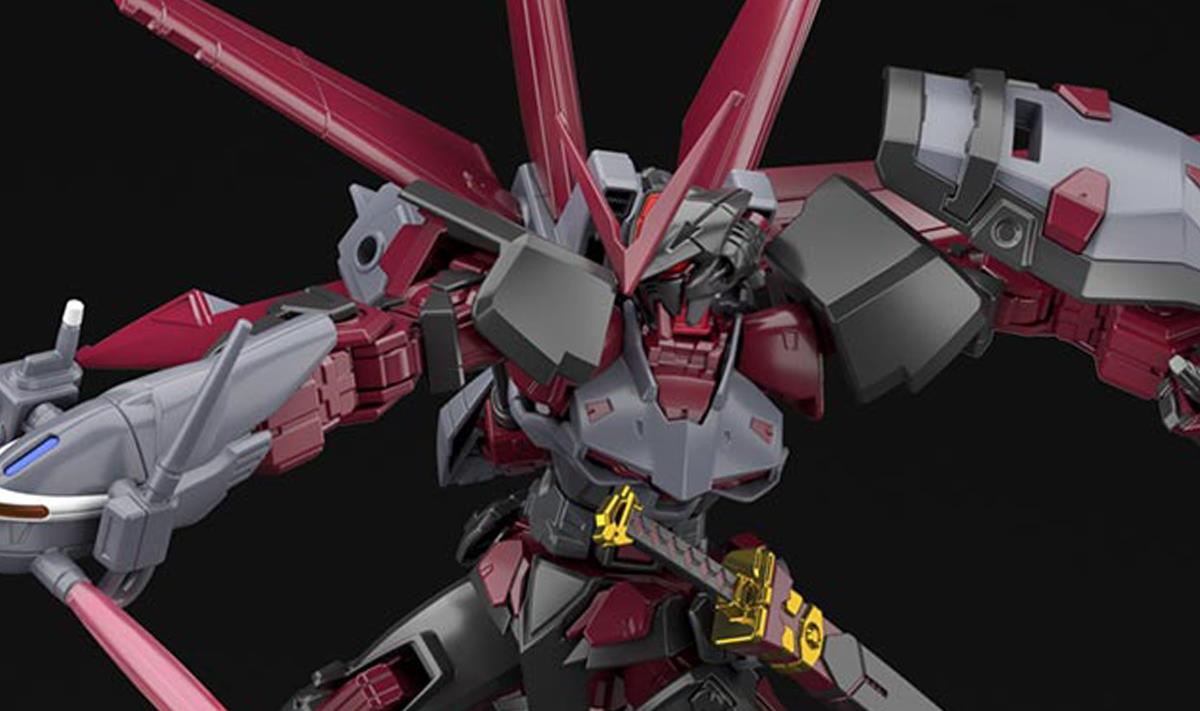 Gundam: Gundam Astray Red Frame Inversion HG Model