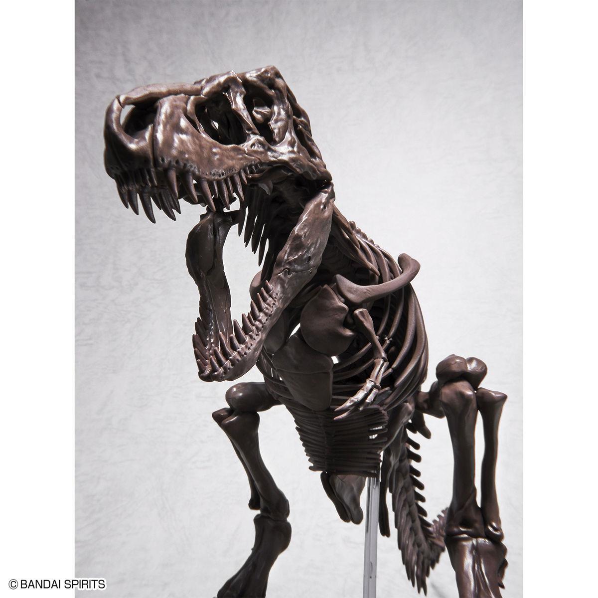 Imaginary Skeleton: Tyrannosaurus 1/32 Scale Model