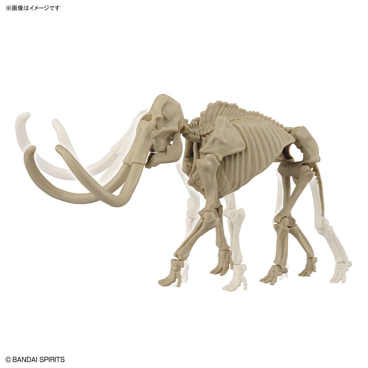 Exploring Lab Nature: Mammoth Model