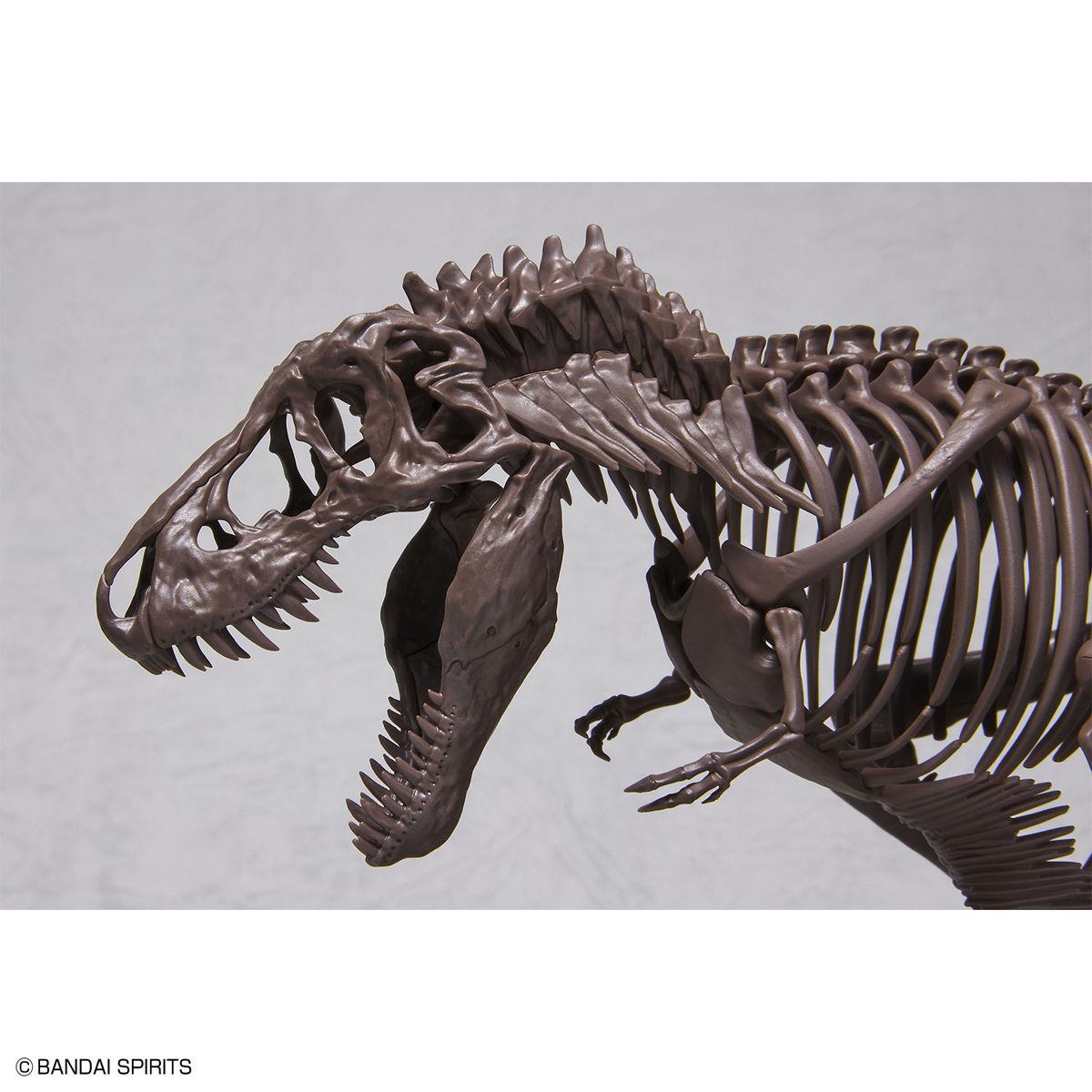 Imaginary Skeleton: Tyrannosaurus 1/32 Scale Model