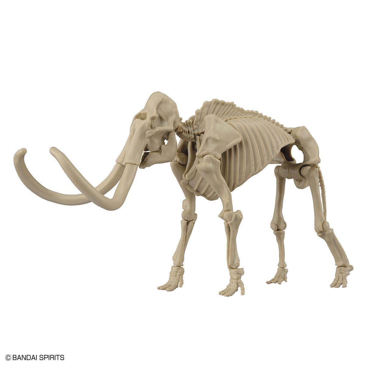 Exploring Lab Nature: Mammoth Model