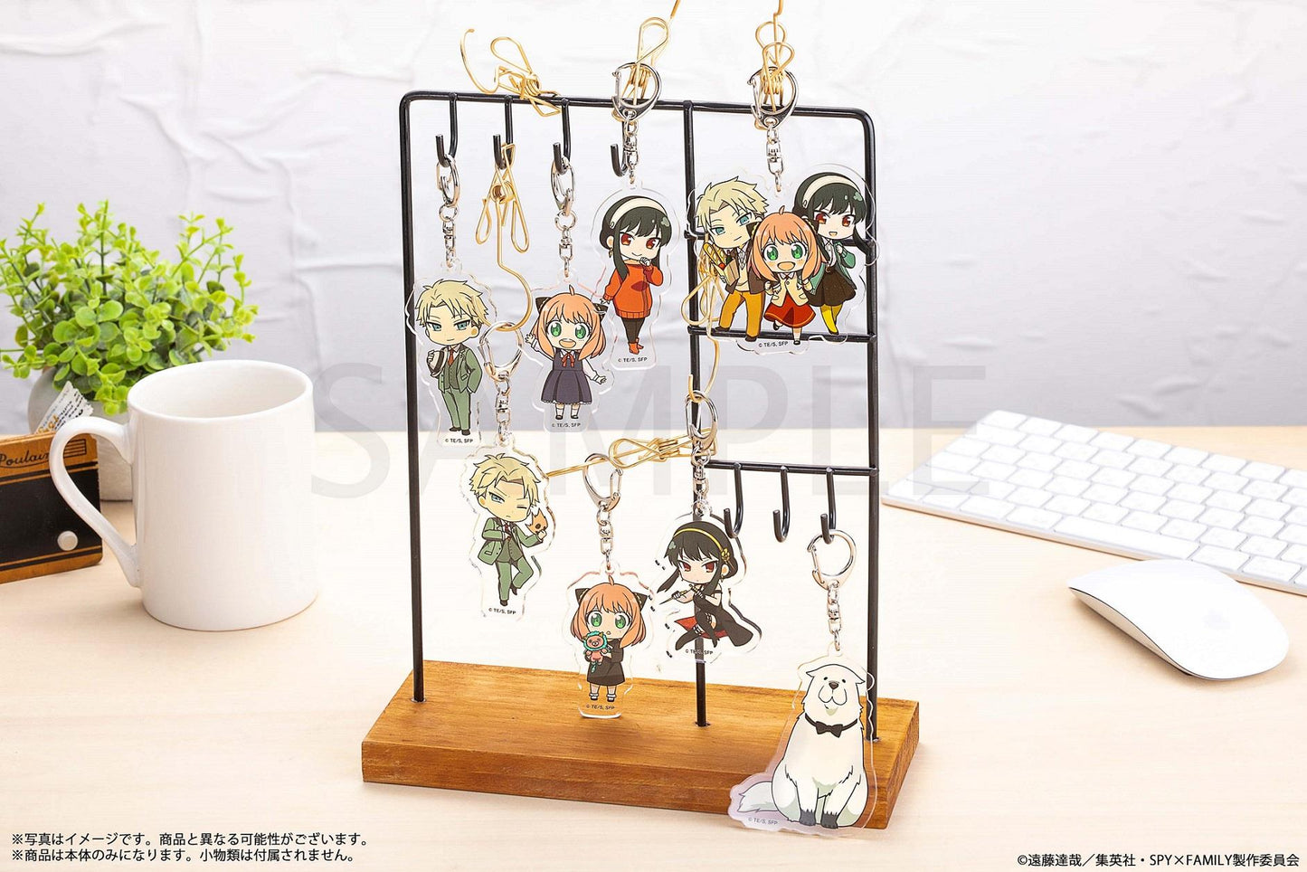 Spy x Family: 2.5 Acrylic Keychain Blind Box