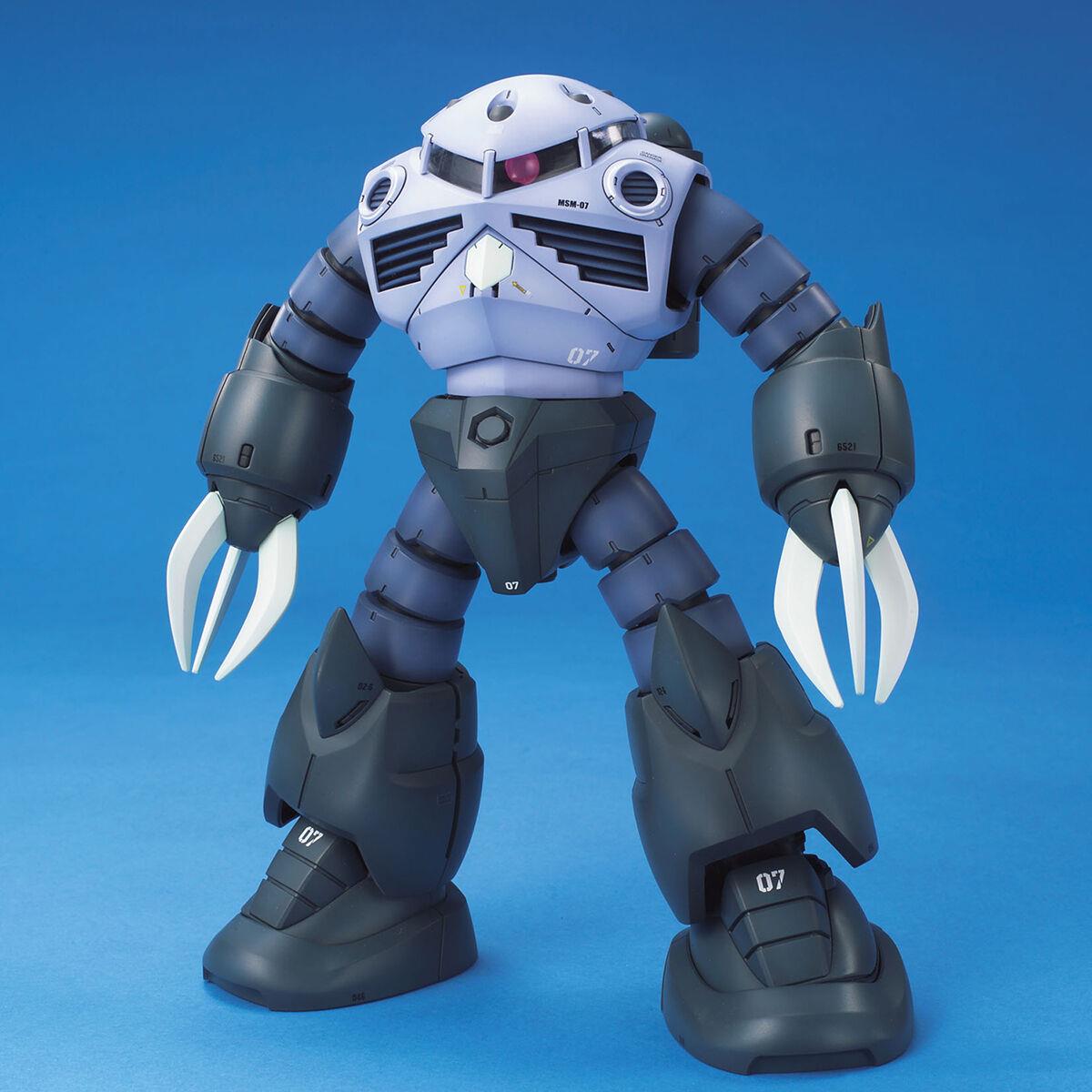 Gundam: Z'Gok MG Model