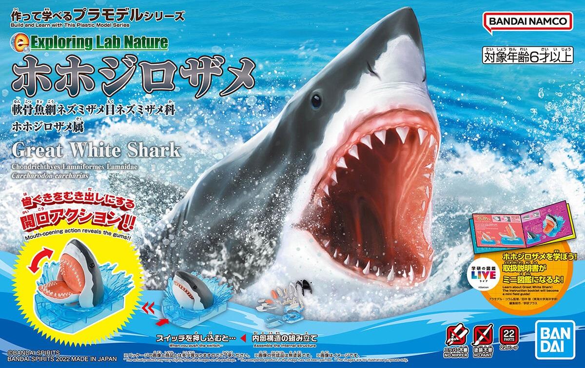 Exploring Lab Nature: Great White Shark Model Kit